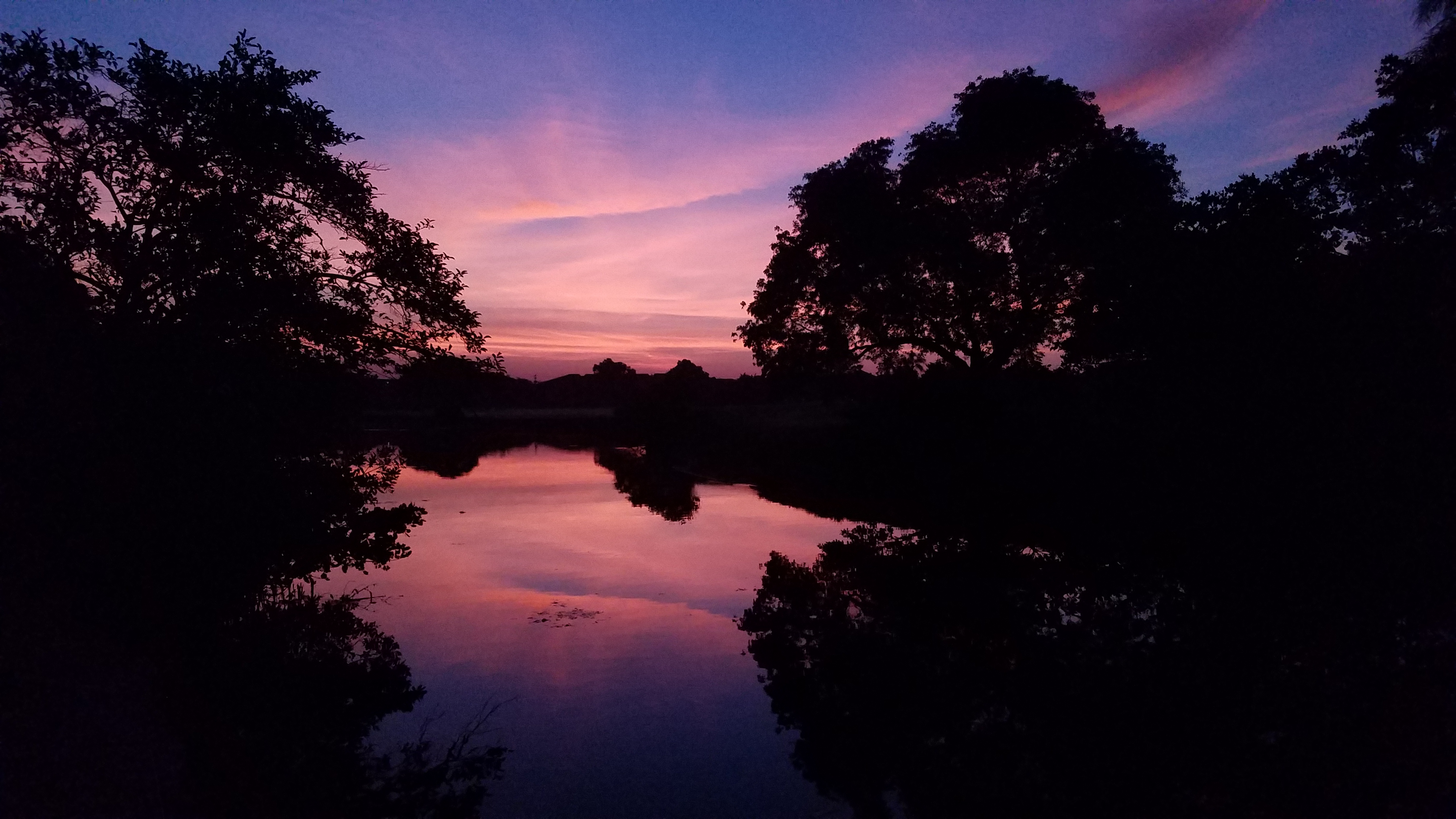 Sunrise