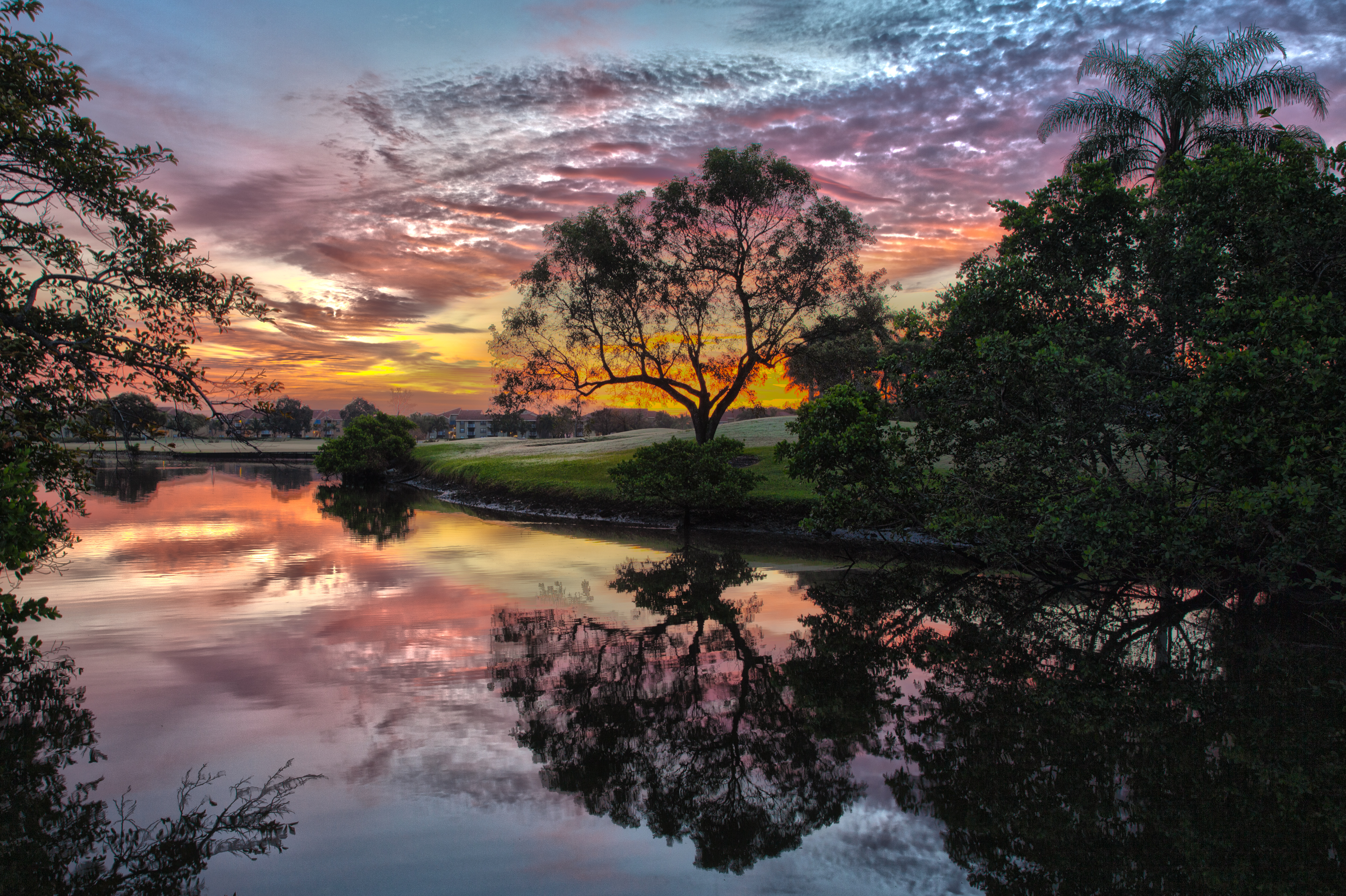 Sunet