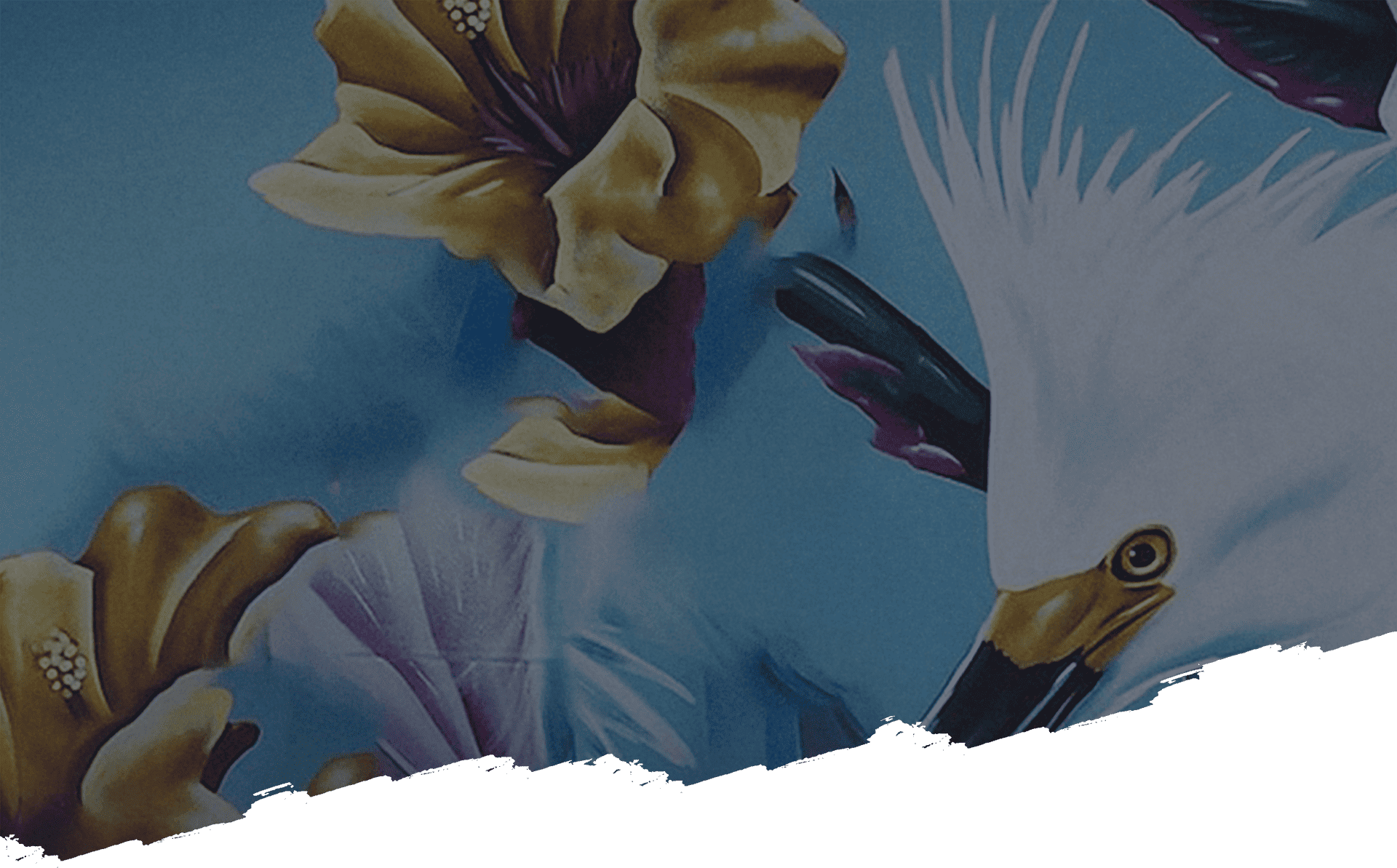 About Us Banner Overlay